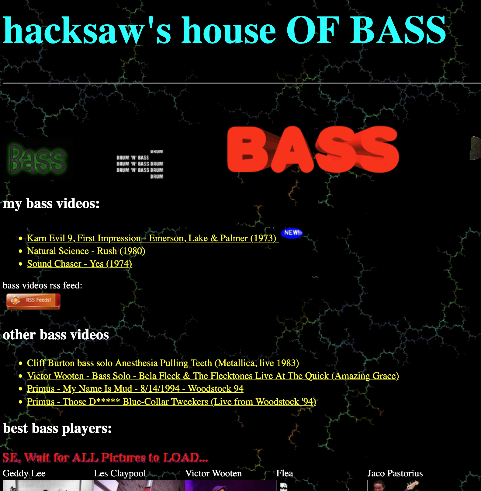 screenshot of hacksaw's house of bass website