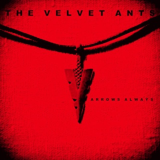 album cover for Arrows Always by The Velvet Ants
