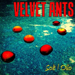 album cover for Solt Olio by The Velvet Ants